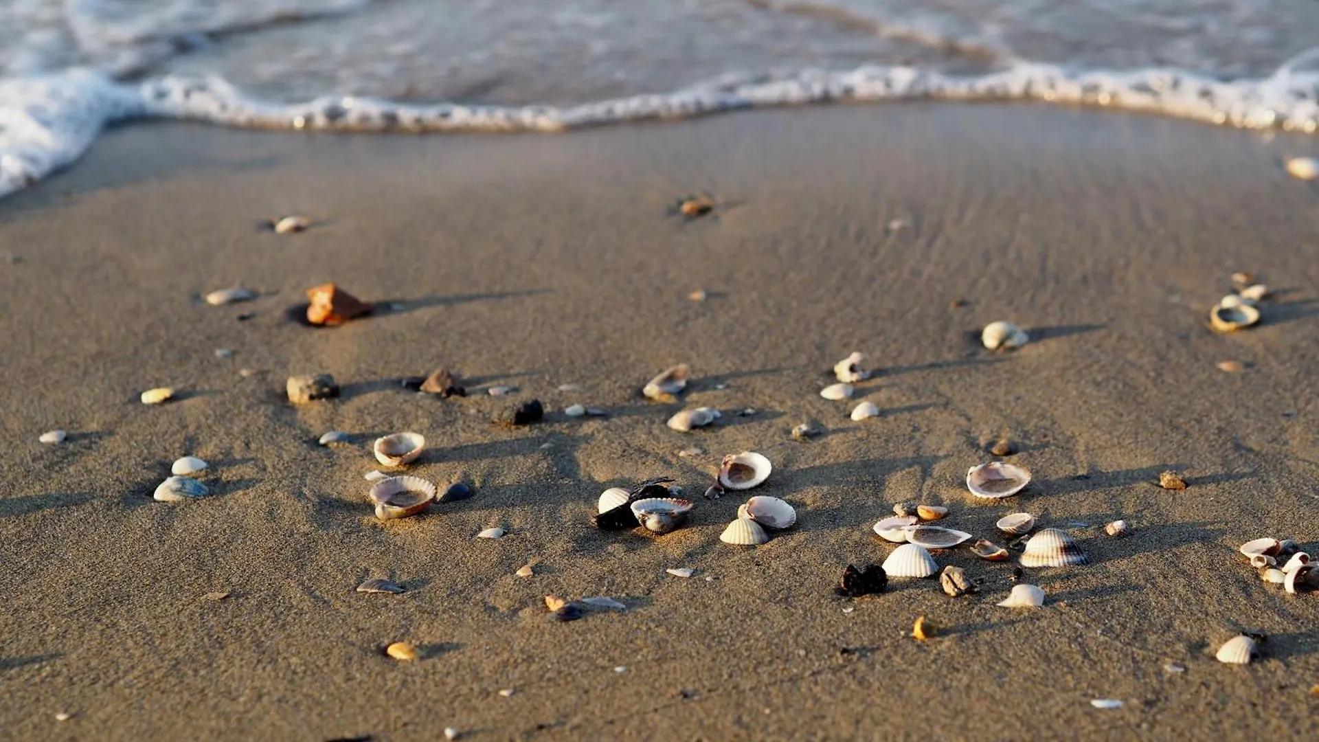 Enjoy The Sea View Of Our Modern Flat - Beahost Apartment Bibione